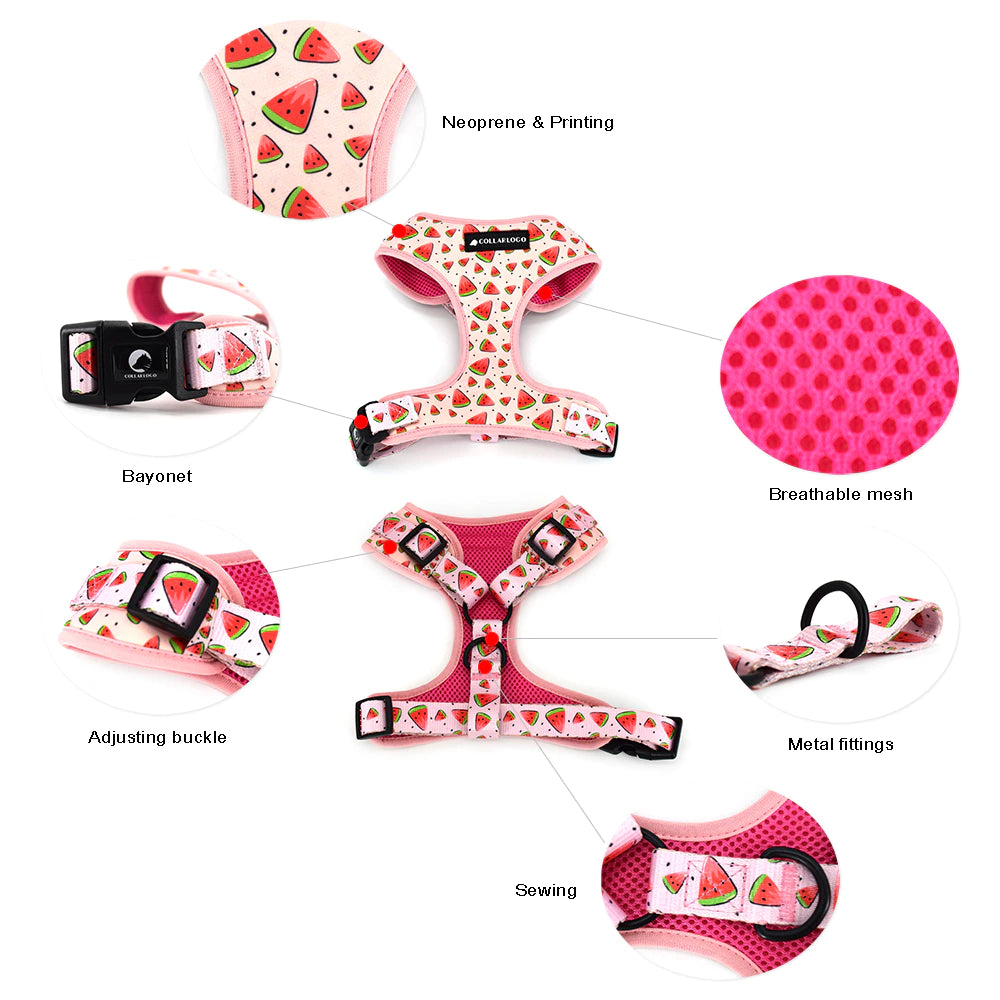 Pink Harness - karuna