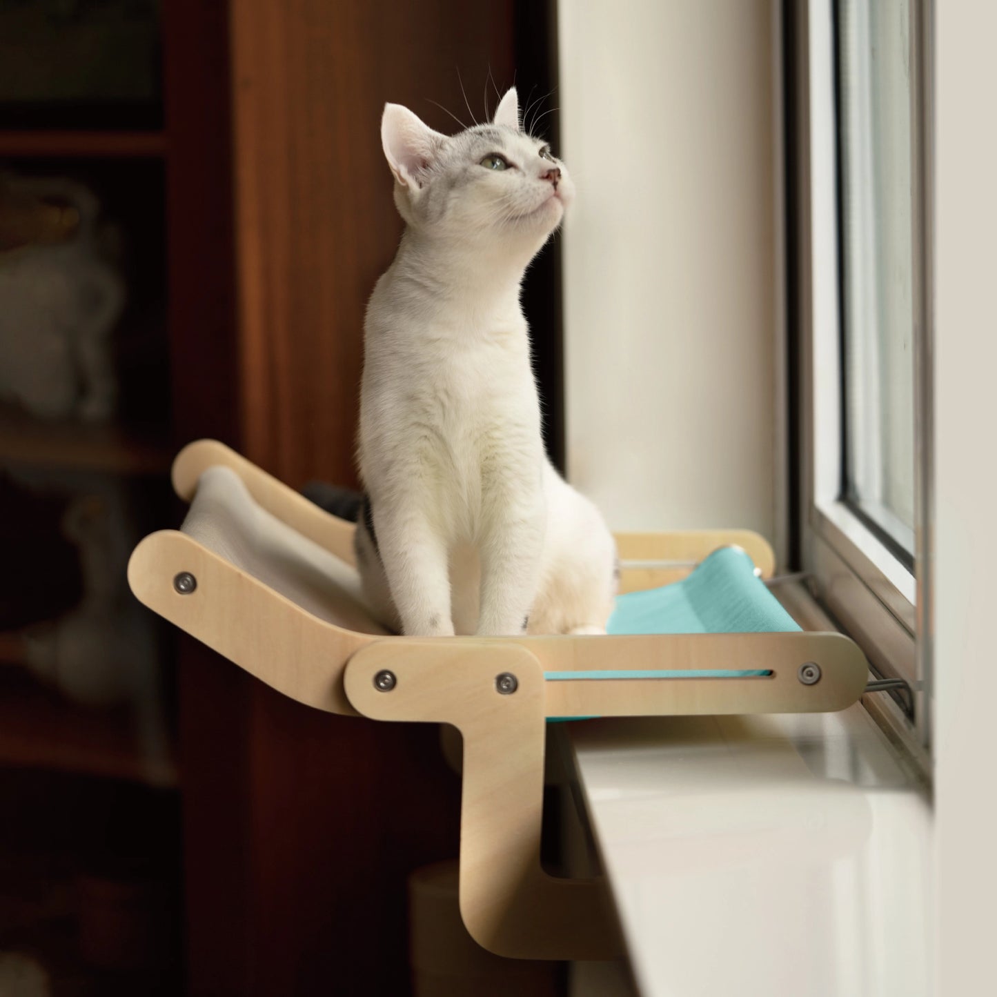 Best Cat Window Perch - karuna