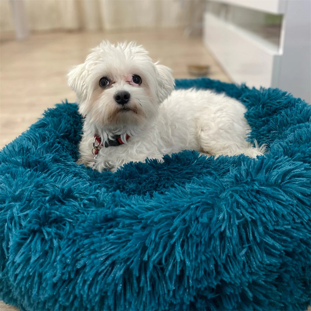 Calming Pet Bed - karuna